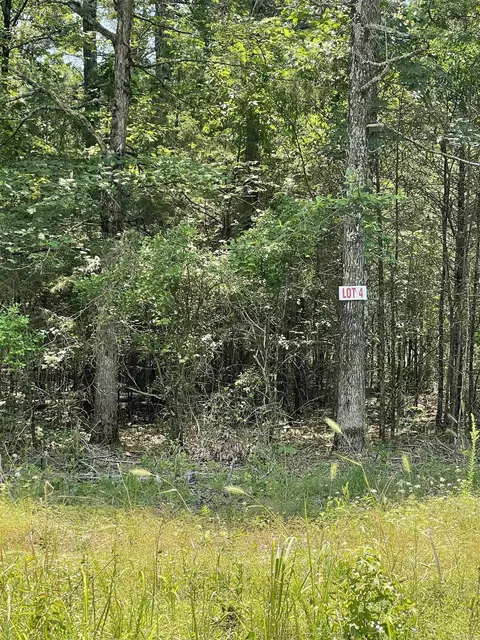 lot4 Pleasant Ridge Rd, Greers Ferry, AR 72067