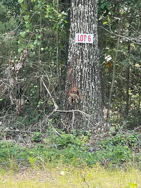 lot6 Pleasant Ridge Rd, Greers Ferry, AR 72067