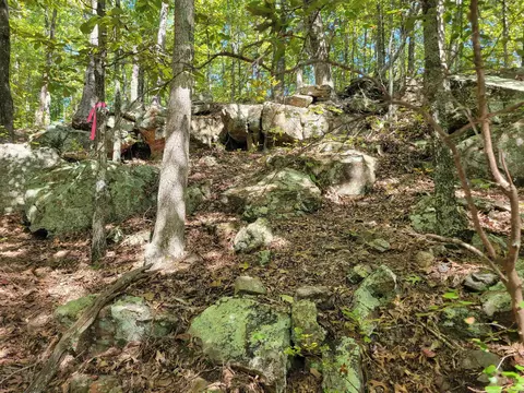 201 Peyton Mtn Loop, Dennard, AR 72629 photo 32