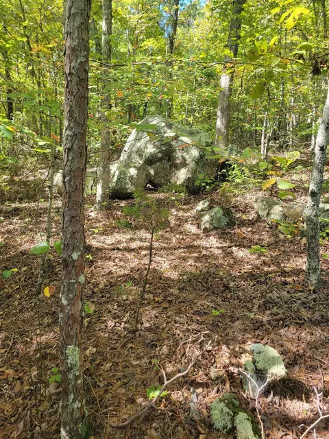 201 Peyton Mtn Loop, Dennard, AR 72629 photo 29