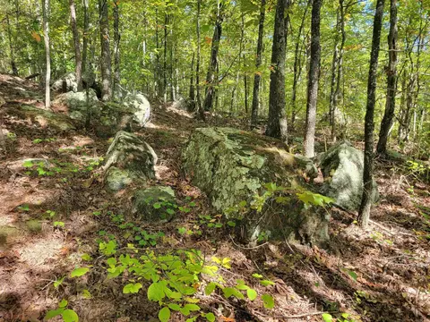 201 Peyton Mtn Loop, Dennard, AR 72629 photo 28