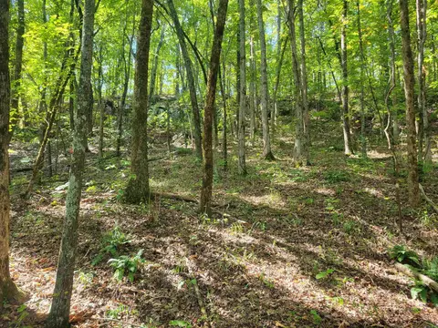 201 Peyton Mtn Loop, Dennard, AR 72629 photo 31