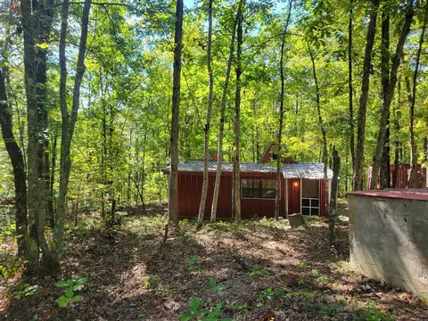 201 Peyton Mtn Loop, Dennard, AR 72629 photo 3
