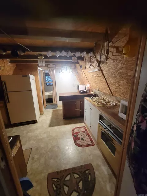 201 Peyton Mtn Loop, Dennard, AR 72629 photo 14