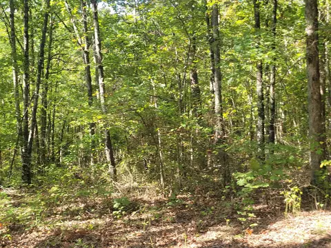 201 Peyton Mtn Loop, Dennard, AR 72629 photo 7