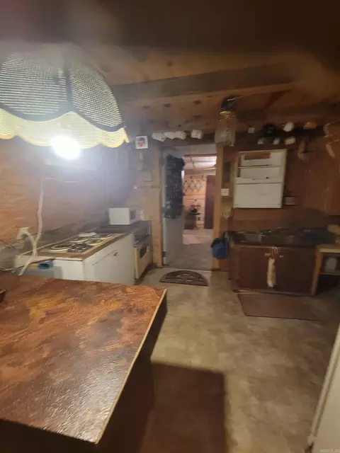 201 Peyton Mtn Loop, Dennard, AR 72629 photo 20