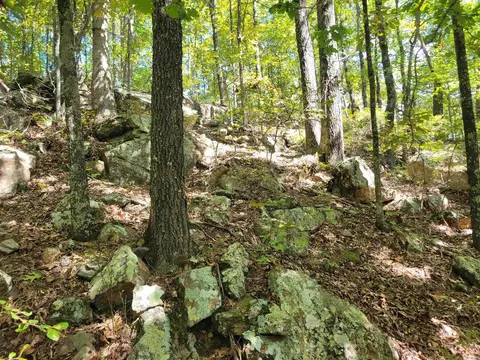 201 Peyton Mtn Loop, Dennard, AR 72629 photo 33