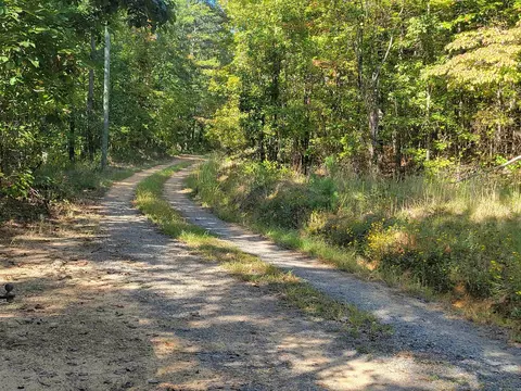 201 Peyton Mtn Loop, Dennard, AR 72629 photo 5