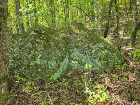 201 Peyton Mtn Loop, Dennard, AR 72629 photo 30