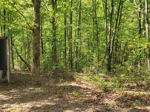 201 Peyton Mtn Loop, Dennard, AR 72629 photo 8