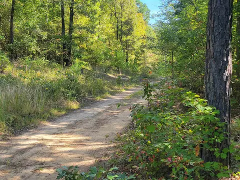 201 Peyton Mtn Loop, Dennard, AR 72629 photo 6