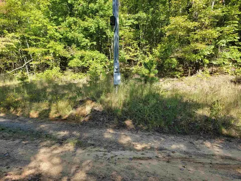 201 Peyton Mtn Loop, Dennard, AR 72629 photo 4
