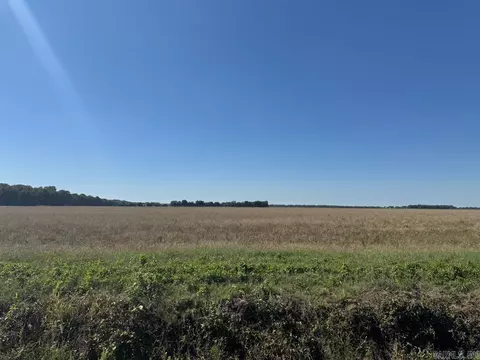 619 Acres Flag Slough Ln, Weiner, AR 72479