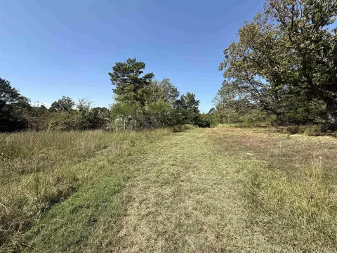 1380 Five Mile Loop, Drasco, AR 72530 photo 5