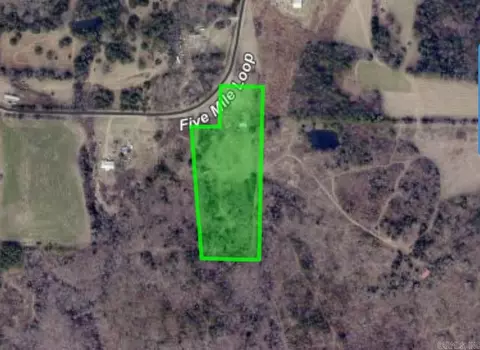 1380 Five Mile Loop, Drasco, AR 72530 photo 10