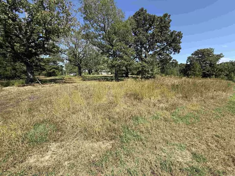 1380 Five Mile Loop, Drasco, AR 72530 photo 3