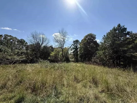 1380 Five Mile Loop, Drasco, AR 72530 photo 6