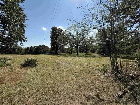 1380 Five Mile Loop, Drasco, AR 72530 photo 4