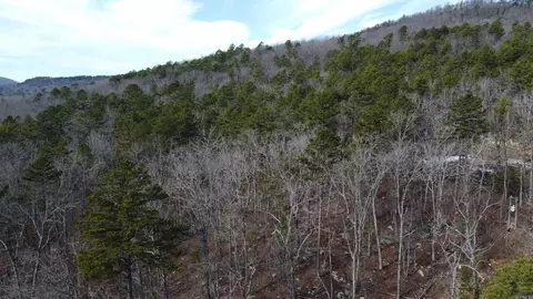 Other - 5354 Endline Rd, Marshall, AR 72650 photo 8 of 17