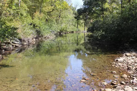 View/Area - 5354 Endline Rd, Marshall, AR 72650 photo 6 of 7