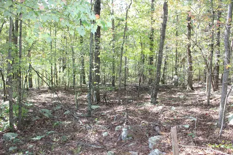 Exterior - 5354 Endline Rd, Marshall, AR 72650 photo 8 of 8