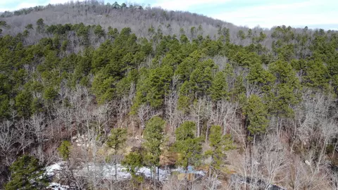 View/Area - 5354 Endline Rd, Marshall, AR 72650 photo 4 of 7