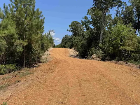 tbd Bradley 351, Johnsville, AR 71647 photo 4