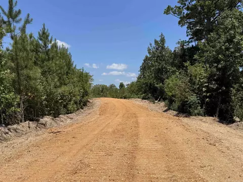 tbd Bradley 351, Johnsville, AR 71647 photo 3