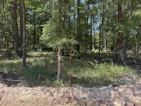 tbd Bradley 351, Johnsville, AR 71647 photo 5