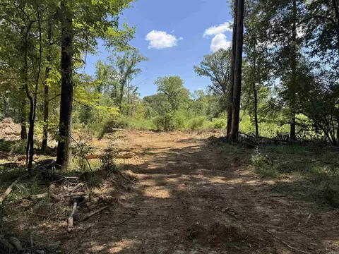 tbd Bradley 351, Johnsville, AR 71647 photo 8