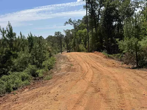 tbd Bradley 351, Johnsville, AR 71647 photo 2