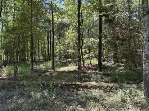 tbd Bradley 351, Johnsville, AR 71647 photo 9