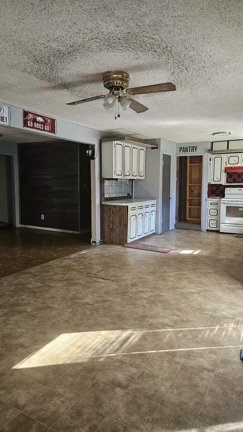 249 N Fordyce St, Rector, AR 72461 photo 3
