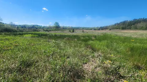 202 Revas Way, Story, AR 71970