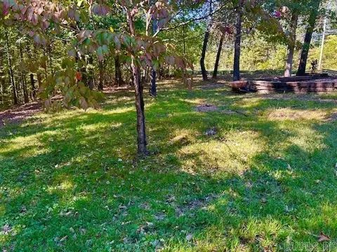 707 Herpel Rd, Mountain View, AR 72560 photo 31