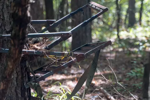 000 County Road 300, Cherry Valley, AR 72324