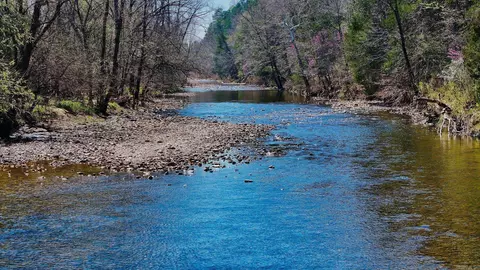 1141 Wafted Lane Tract 3, Marshall, AR 72650 photo 12