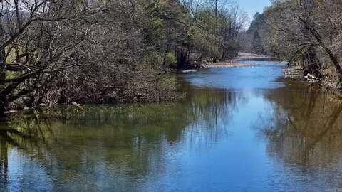1141 Wafted Lane Tract 3, Marshall, AR 72650 photo 11