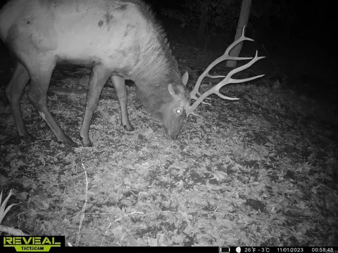 1141 Wafted Lane Tract 3, Marshall, AR 72650 photo 6
