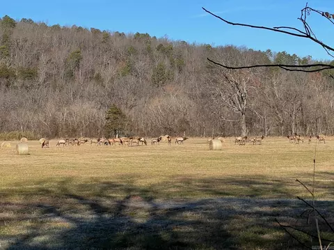 1141 Wafted Lane Tract 4, Marshall, AR 72650