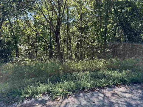 87 43 Acres Watersedge Dr, Edgemont, AR 72044 photo 5