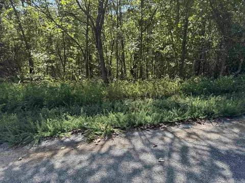 87 43 Acres Watersedge Dr, Edgemont, AR 72044 photo 4