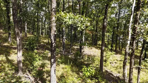 tbd Janssen, Mena, AR 71953 photo 6