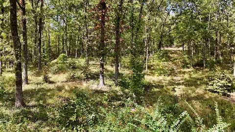 tbd Janssen, Mena, AR 71953 photo 5