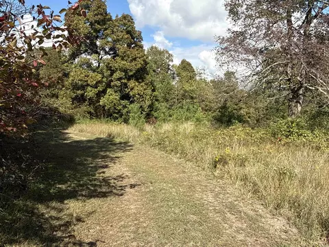 159 Deer Run Rd, Leslie, AR 72645 photo 38