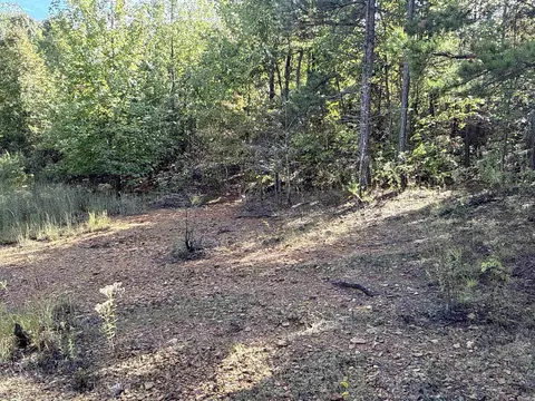 159 Deer Run Rd, Leslie, AR 72645 photo 32