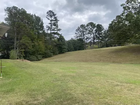 204 Laurel St, Mount Ida, AR 71957 photo 4