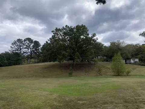 204 Laurel St, Mount Ida, AR 71957 photo 5