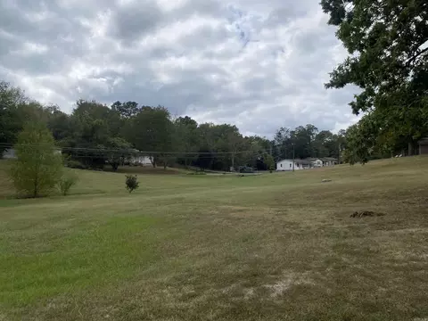 204 Laurel St, Mount Ida, AR 71957 photo 6