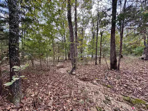 51 Trina Loop, Greenbrier, AR 72058 photo 26